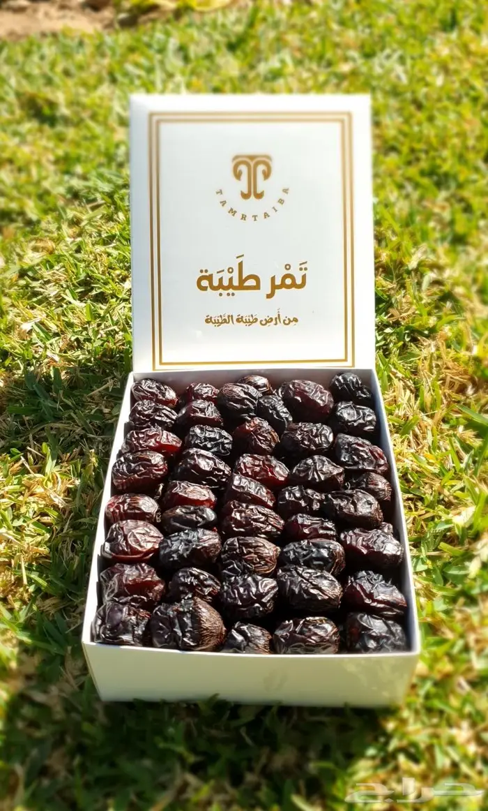 عجوة المدينة الفاخرة حصاد جديد. وتوصيل لجميع انحاء المملكة 0