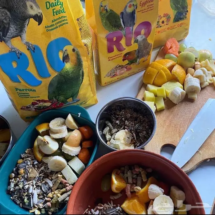 سيريلاك أقفاص ألعاب أعلاف اكل جاف اكل رطب 35