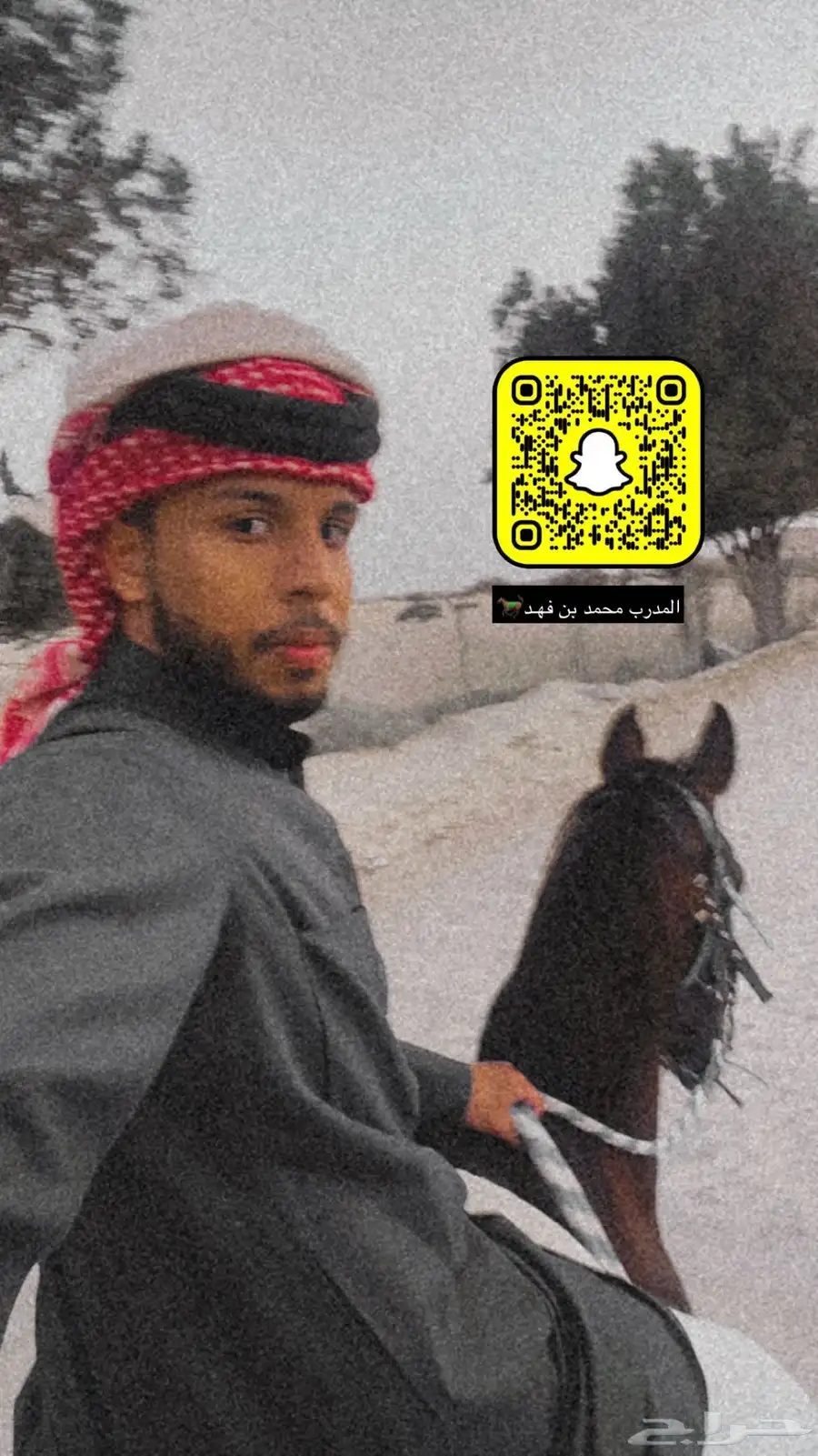 عسف او ترويض وتعديل اطباع الخيول 2