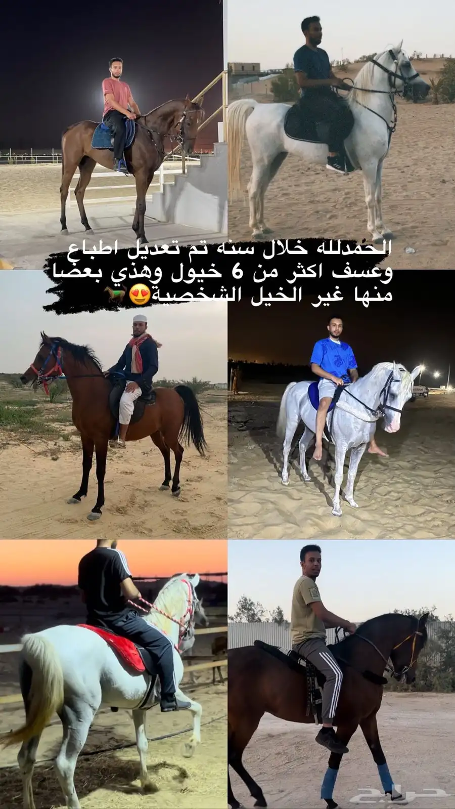 عسف او ترويض وتعديل اطباع الخيول 1