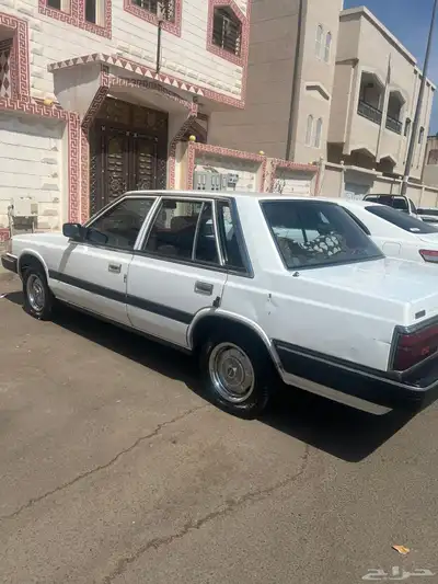 نسيان فئة زد لوريل 1987 2
