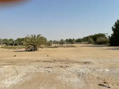 للإيجار أو البيع مزرعه مسوره طابوق وخرسانه 9