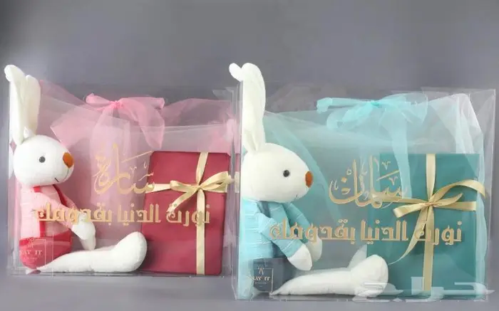 مصمم كوريل درو رسومات ليزر ورسومات تطريز 18