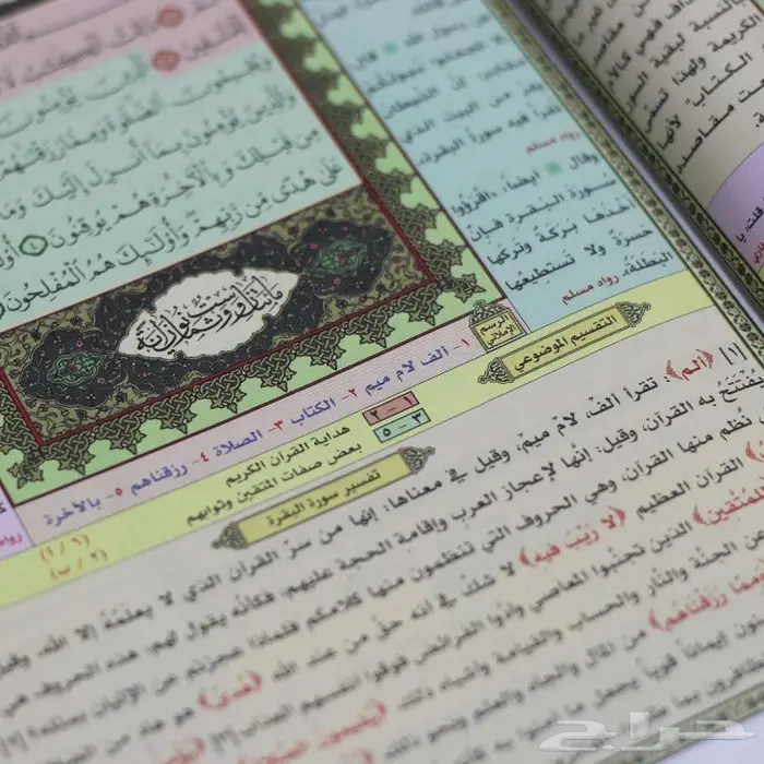 التقسيم الموضوعي للحافظ المتقن 6