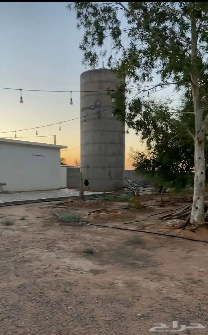 مزرعة للإيجار اليومي 9