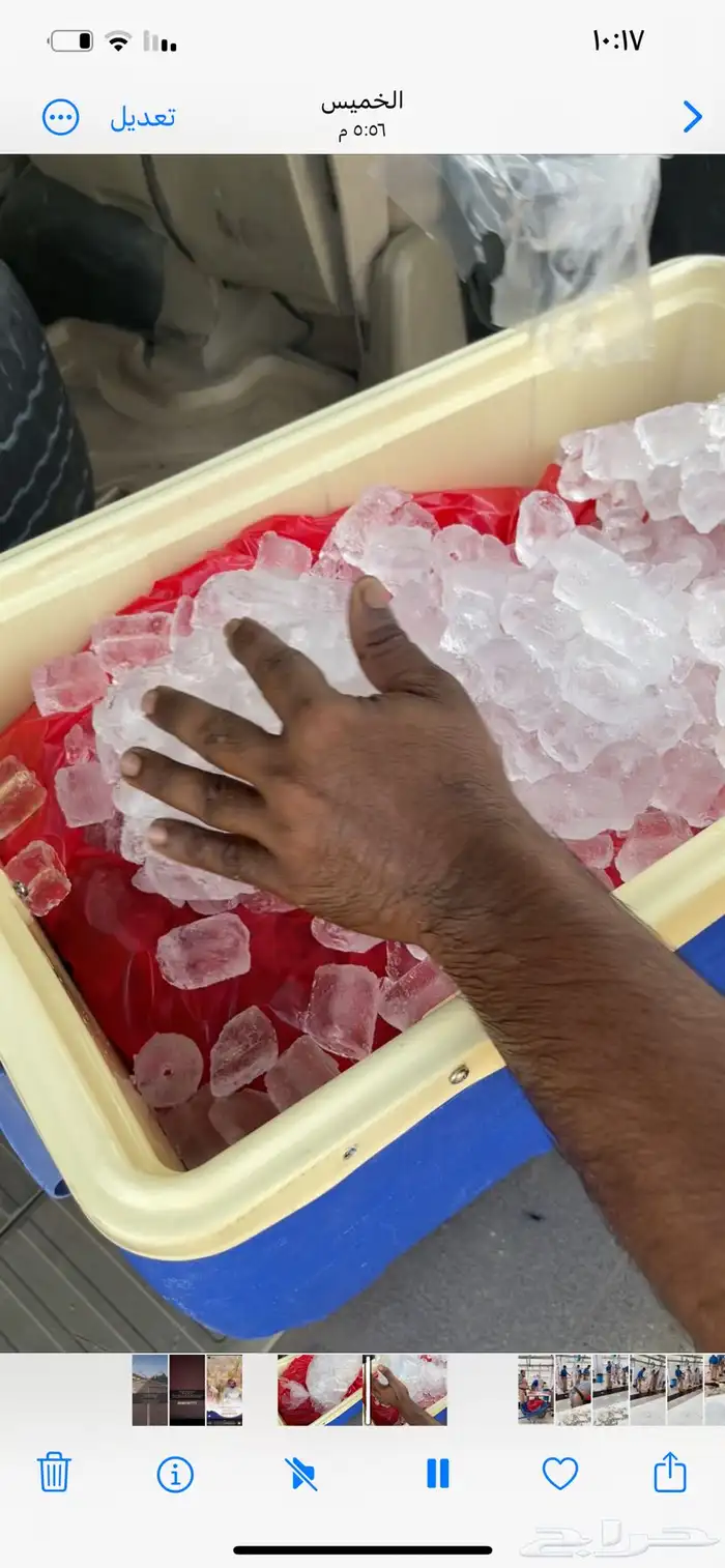 ذبايح حري ونعيمي وتيوس 27