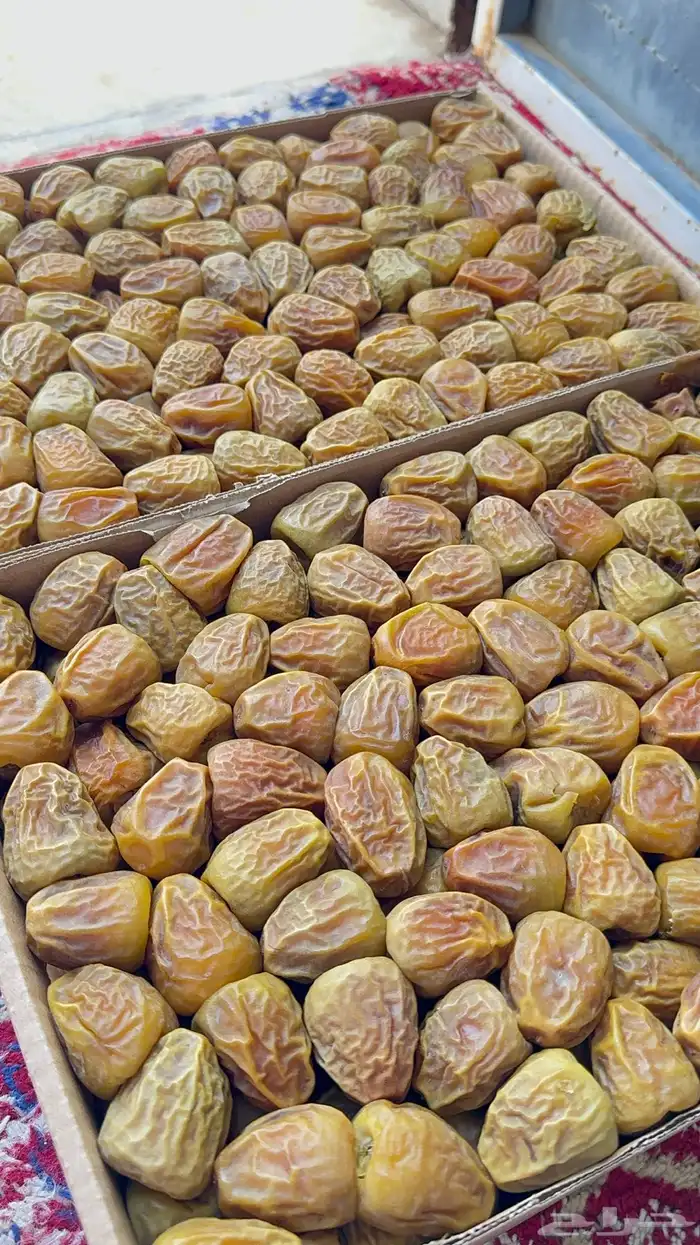 تمر سكري مفتل اصفر خراف جديد كمية محدوده 0