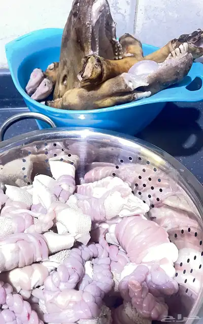 الطلب ع الخاص 0