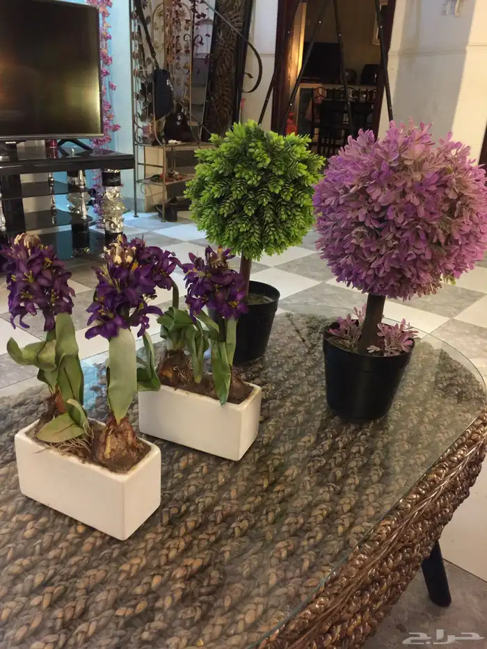 لوحات .. أشجار زينة .. لمبات اضاءة .. كماليات للبيع 5