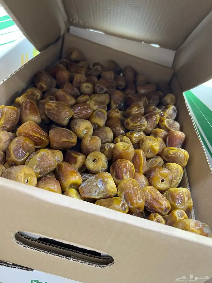 تمري سكري مفتل 1