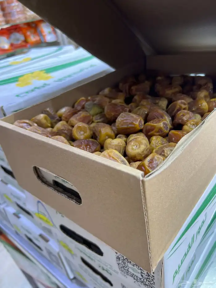 تمري سكري مفتل 0