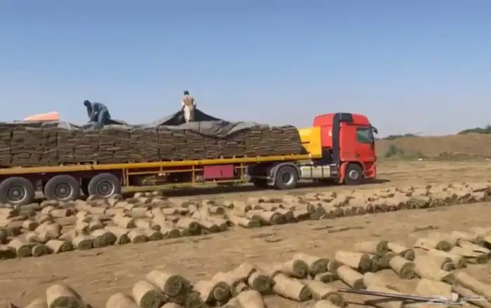 نجيل طبيعي 2