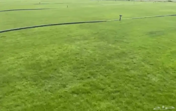 نجيل طبيعي 1