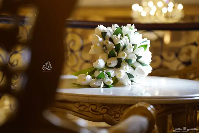 مصورة 1