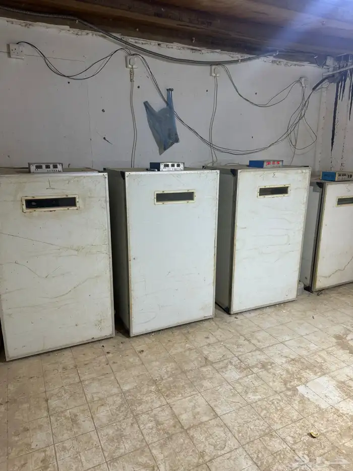 فقاسات 2
