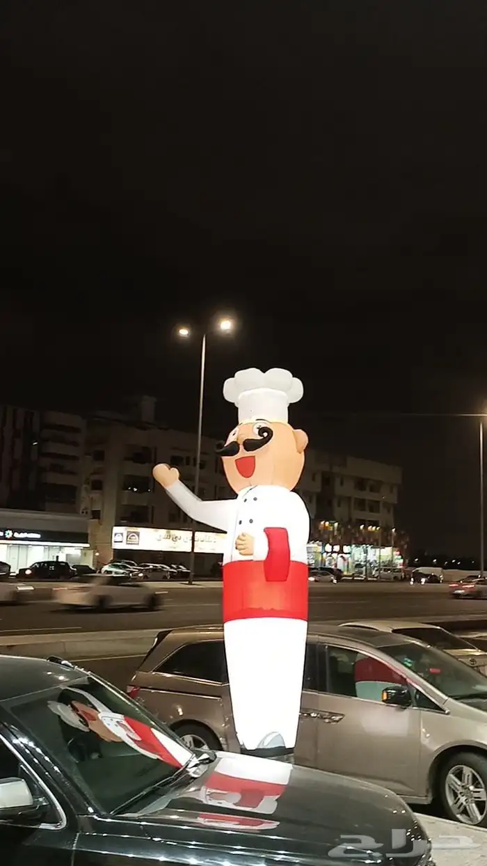 رواقص ودمئ للبيع بسعر جمله الكميه محدوده 6