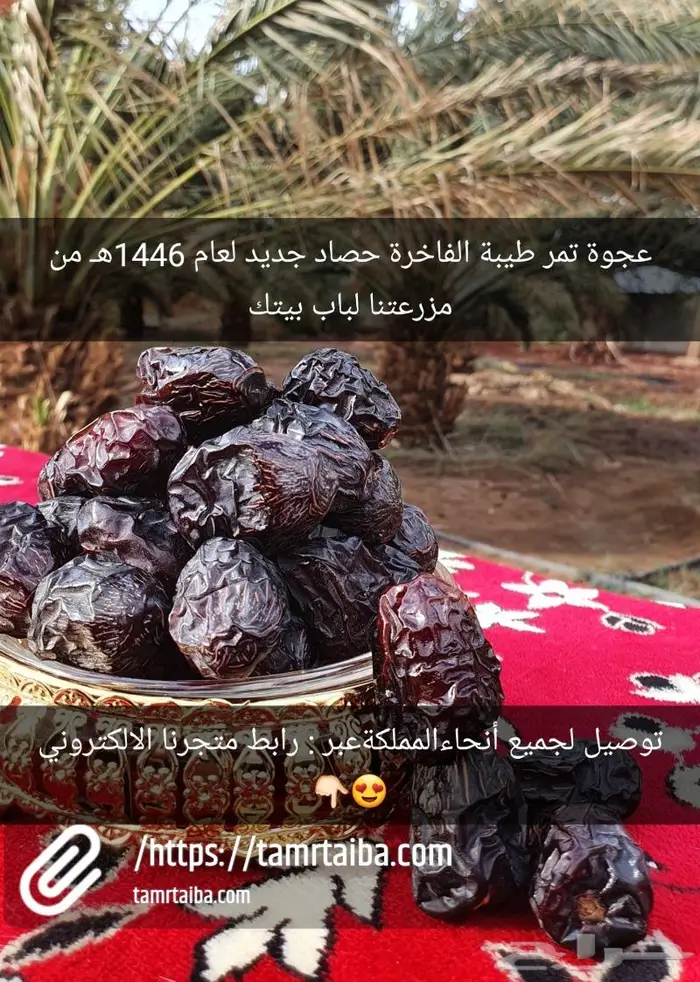عجوة فاخرة من مزارع تَم ر طَيبَة. تطلبهامن المتجر الالكتروني 1