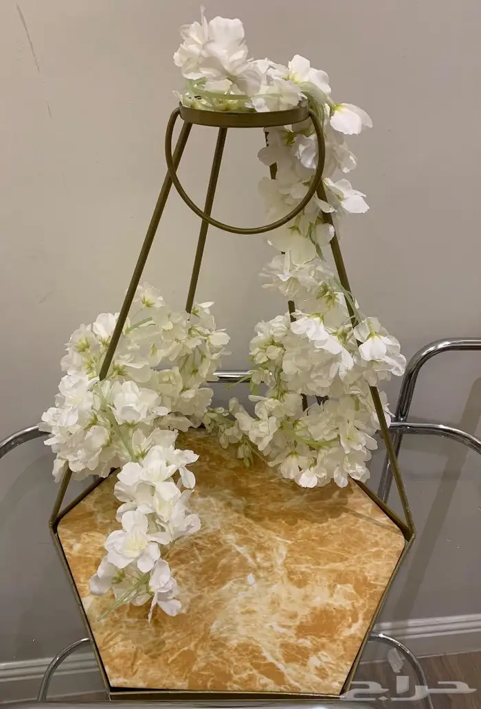 استاند تقديم بحامل 1