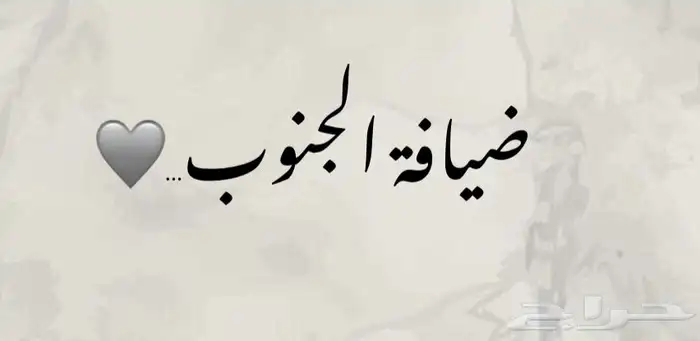 ضيافة الجنوب 0