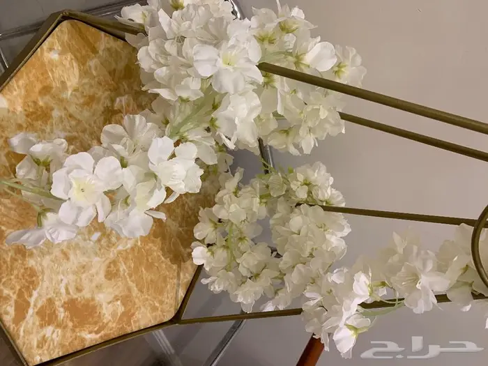 استاند تقديم بحامل 2