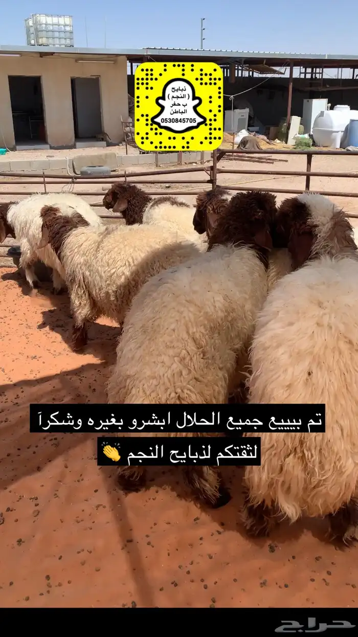 ذبايح الحفر 5