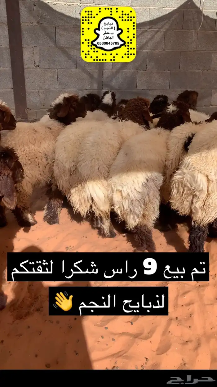ذبايح الحفر 8