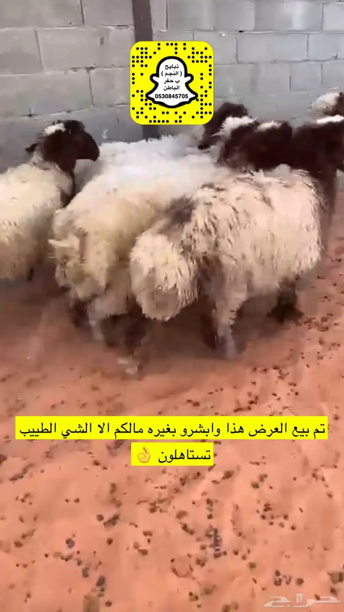 ذبايح الحفر 0