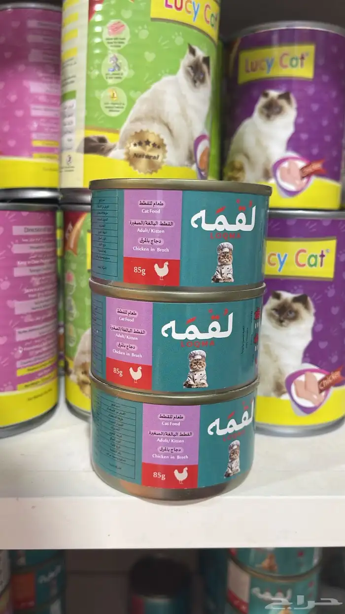 متجر مودي للحيوانات الاليفة Modi Birds 16