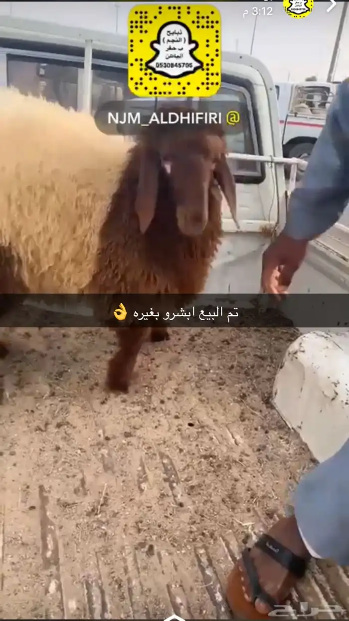 ذبايح الحفر 27