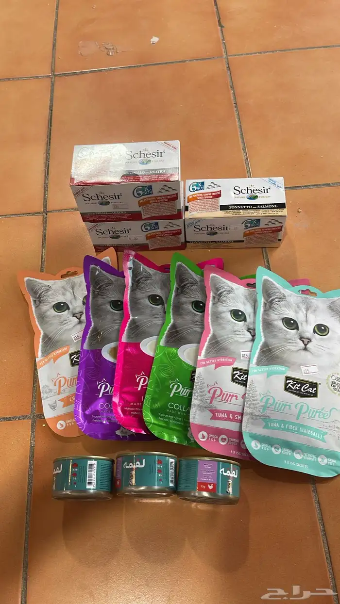 متجر مودي للحيوانات الاليفة Modi Birds 15