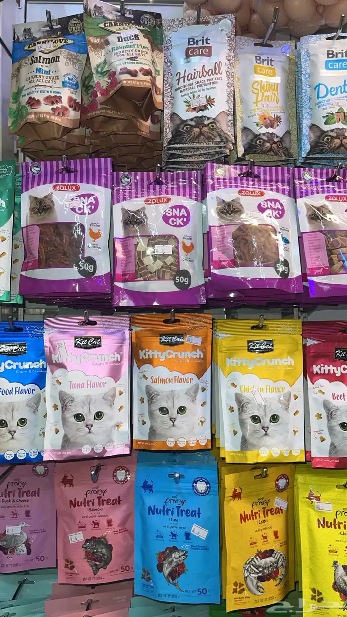 متجر مودي للحيوانات الاليفة Modi Birds 9