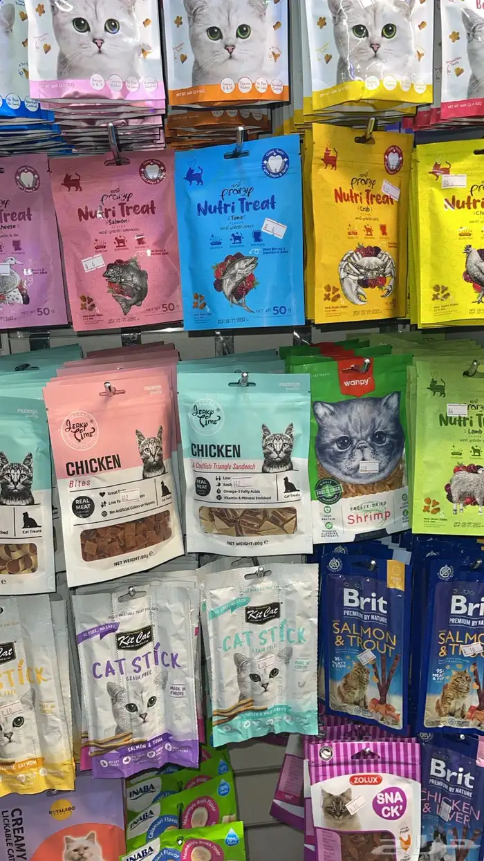 متجر مودي للحيوانات الاليفة Modi Birds 14