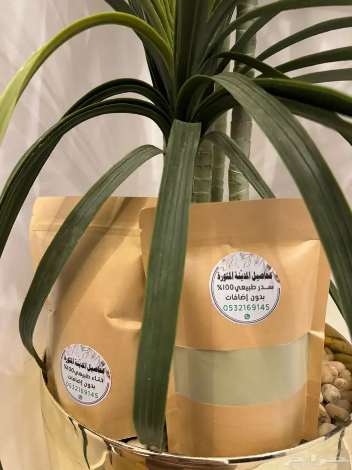 حناء و سدر المدينة المنورة 3