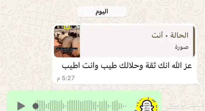 ذبايح الحفر 4