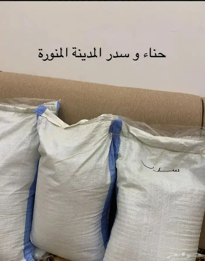 حناء و سدر المدينة المنورة 0