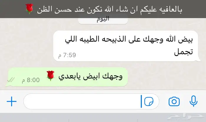 ذبايح الحفر 19