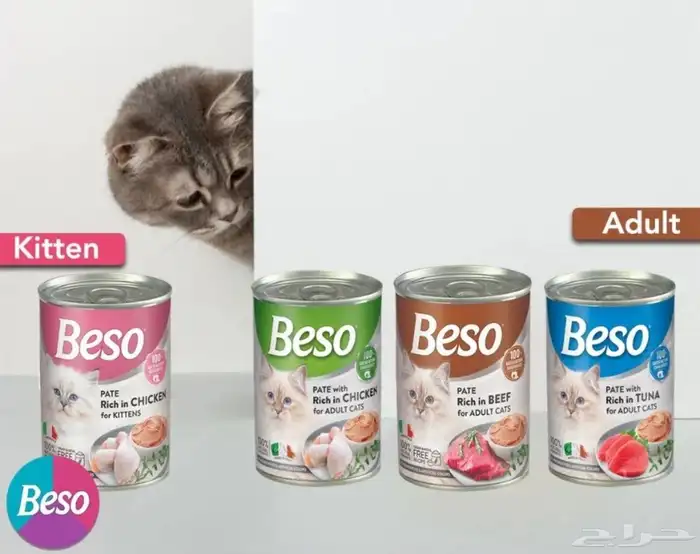 متجر مودي للحيوانات الاليفة Modi Birds 32