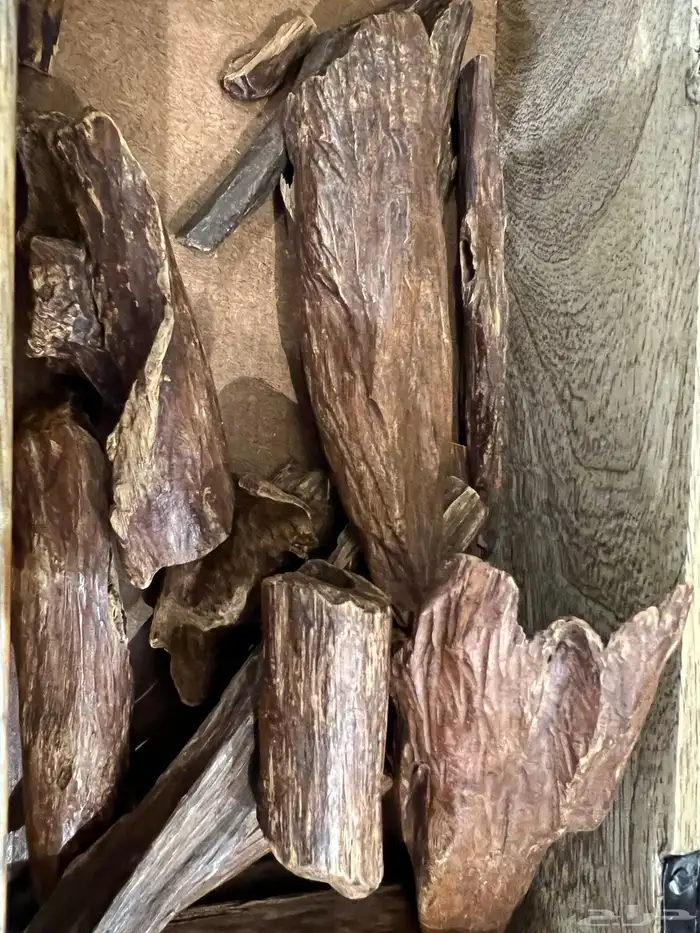 عود ارياني نوادر 2