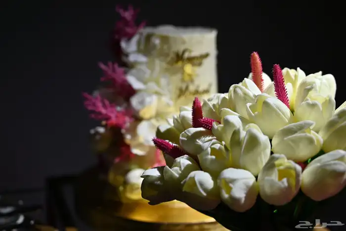 مصورة اعراس محترفة 1