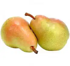 شتلات كمثرى 0