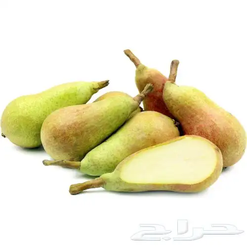 شتلات كمثرى 2