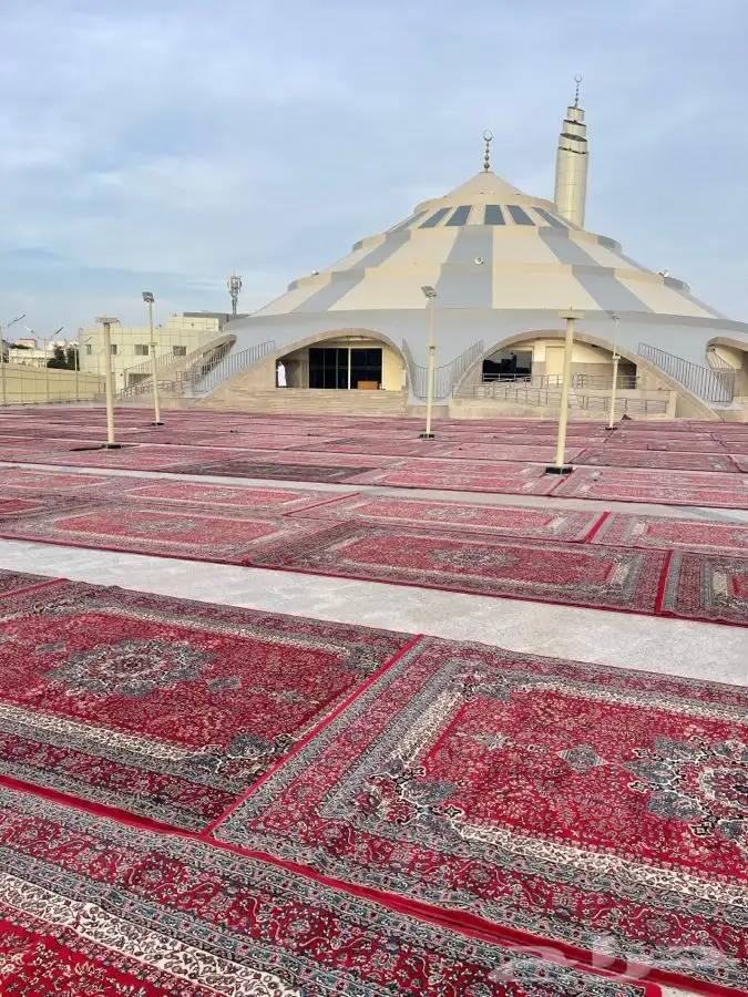 تاجير كراسي 21