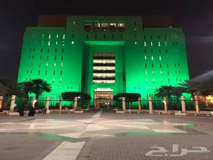 اضاءات اليوم الوطني اسعار مناسبه 11