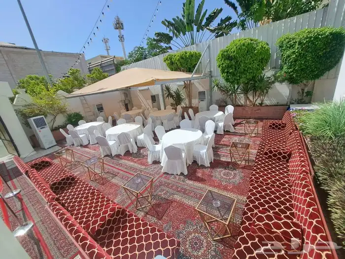 تاجير كراسي 18