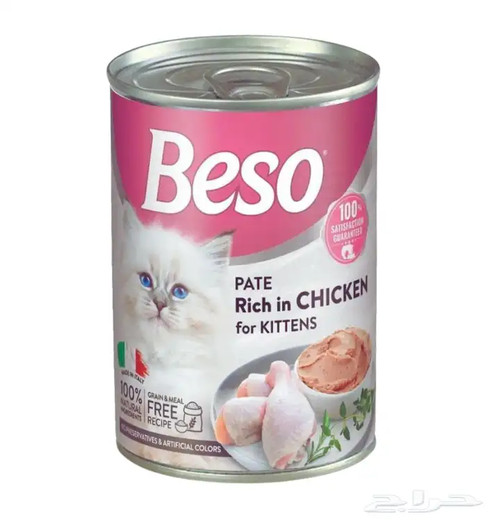 متجر مودي للحيوانات الاليفة Modi Birds 31