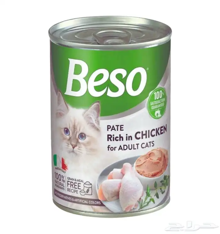 متجر مودي للحيوانات الاليفة Modi Birds 29