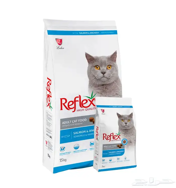 متجر مودي للحيوانات الاليفة Modi Birds 27