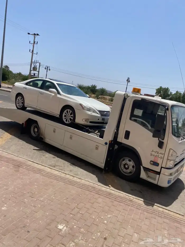 سطحه ينبع النخل 0