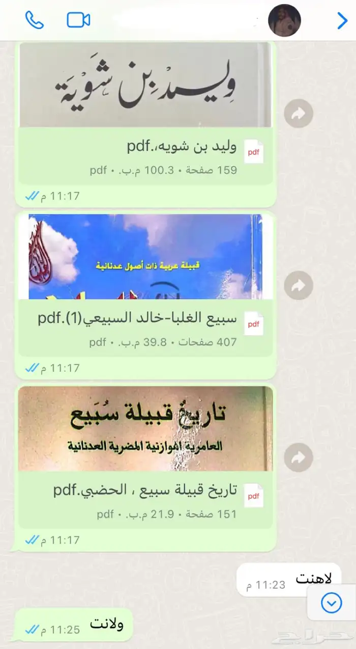 كتب تاريخ قبيله سبيع PDF 8