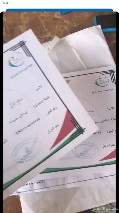 حمام زاجل سباق قوى شهايد نسب قويه معروفة 11